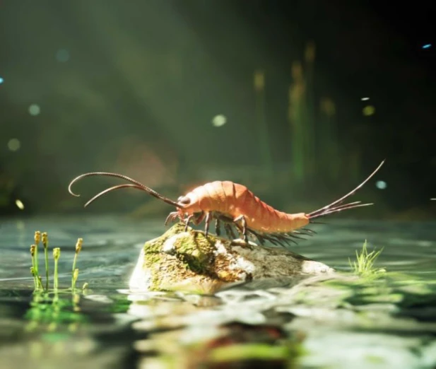 Before Six Legs, There Were 24: Ancient Insect Fossil Rewrites Evolution Story