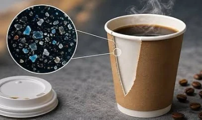 Microplastics In Paper Cups: Study Warns Of Particles In Takeaway Coffee